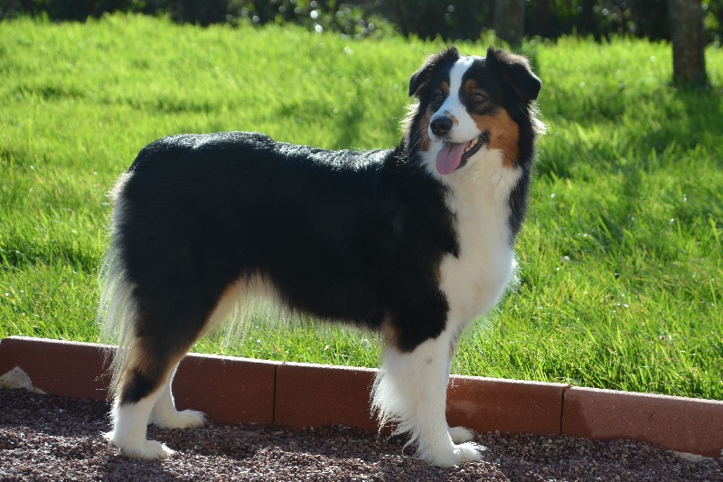 Indy du Val d'Aury